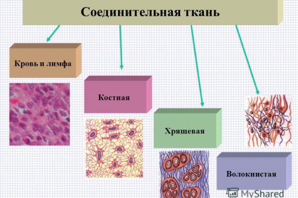 Блэк спрут новая ссылка