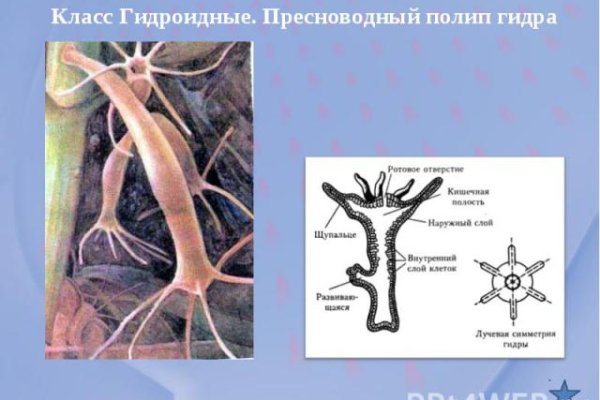 Блэк спрут интернет магазин