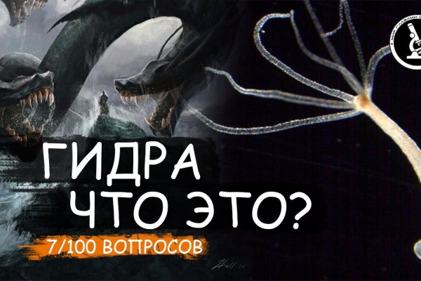 Black sprut зеркало рабочее