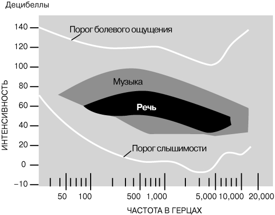 2fa код blacksprut